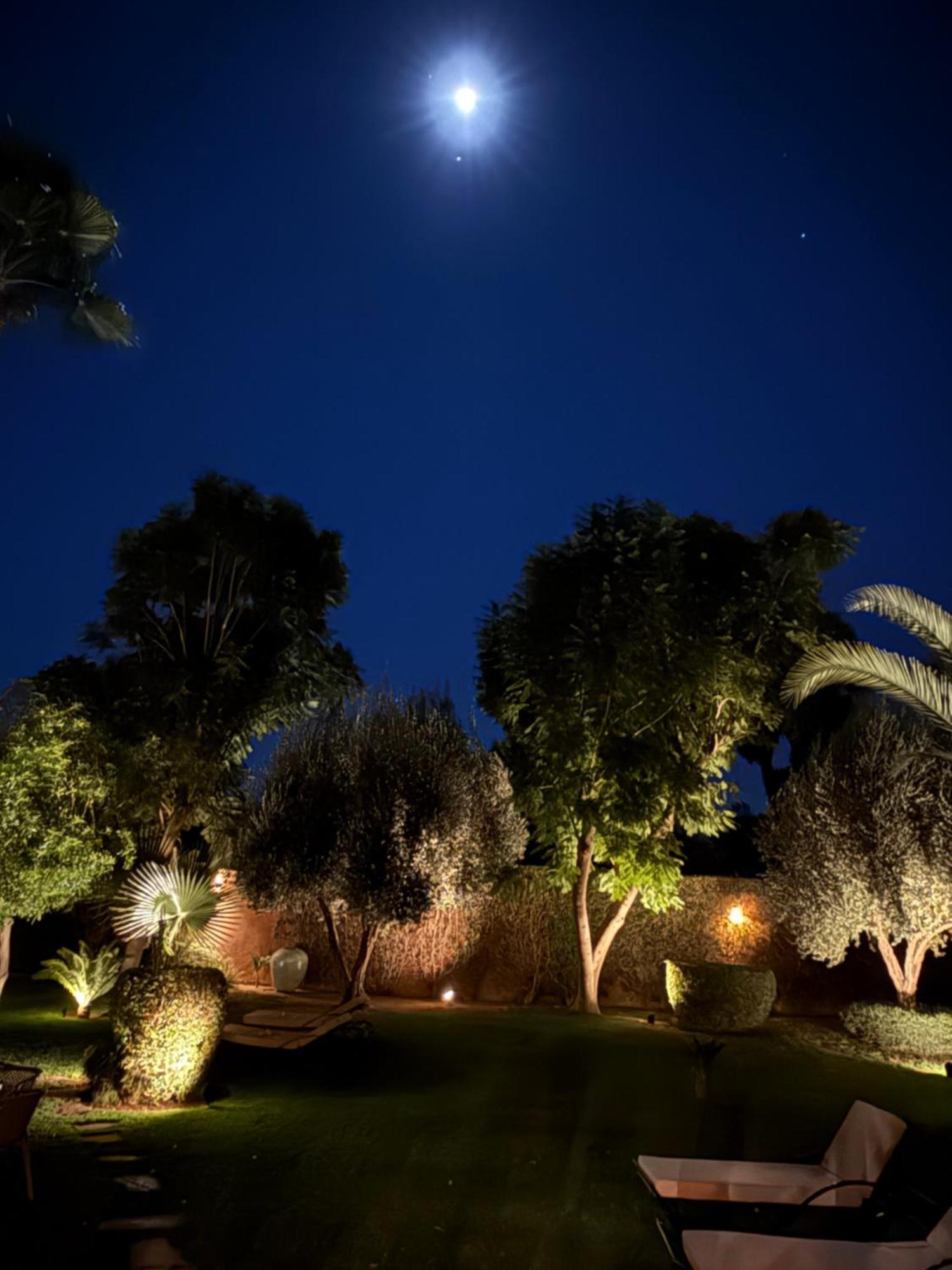 Villa #1 'Rosalie' Marrakesch Exterior foto